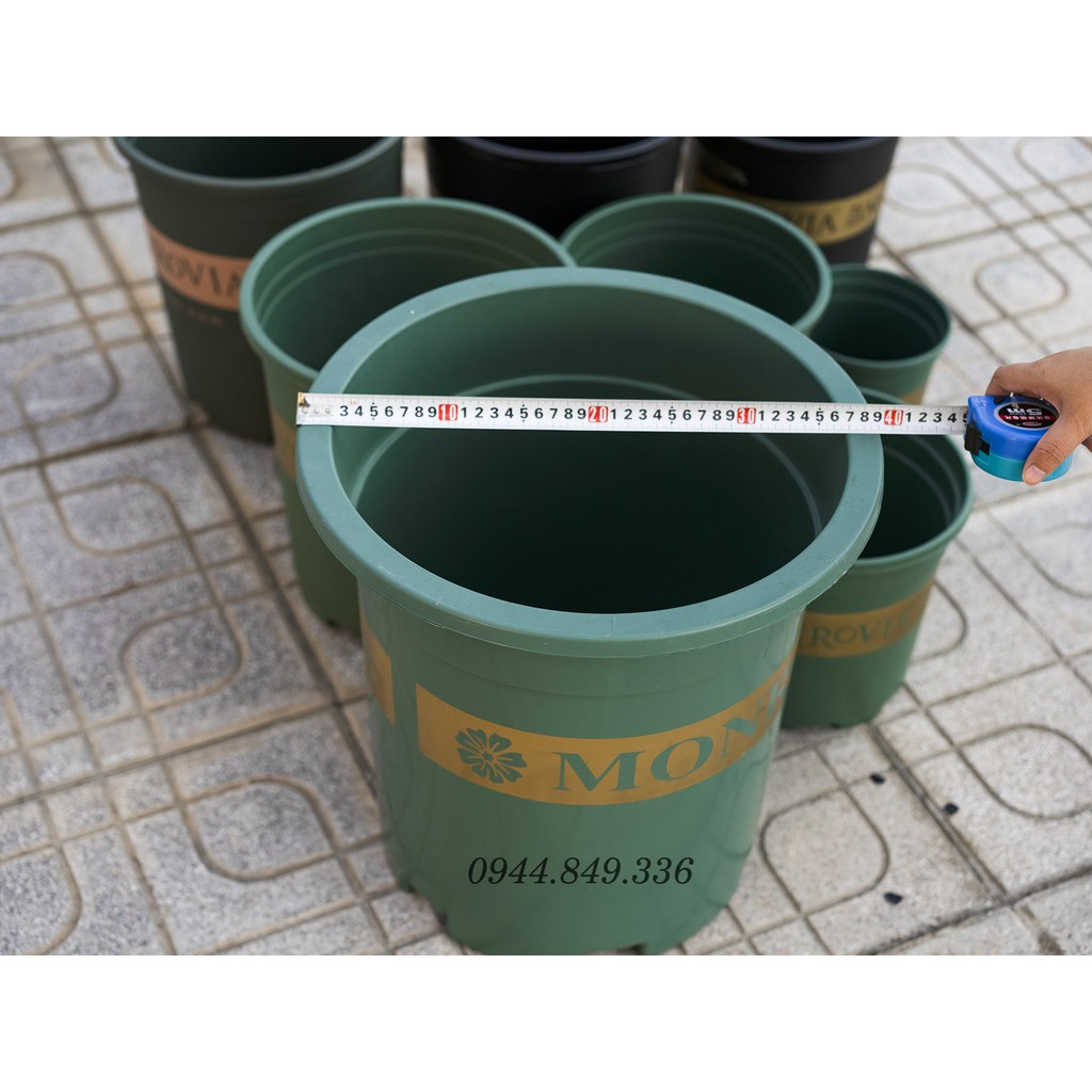 Chậu Monrovia VIỆT NAM 1GL