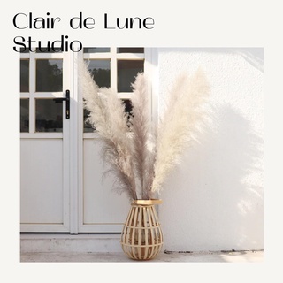 ❤️VIDEO THÂT❤️Cỏ lau khô siêu to siêu đẹp ❤️hoa khô trang trí Dried Pampas