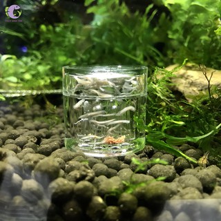 Bẫy Sán cao cấp dành cho bể thủy sinh