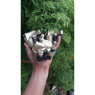 Heo dầu exciter 150