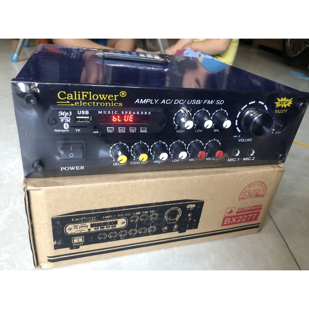 AMPLY KARAOKE MINI DC 12V USB - CALIPLOWER