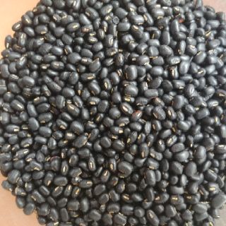 Đỗ đen nhỏ hạt xanh lòng 1kg