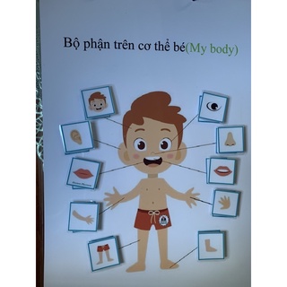 Học liệu bóc - dán các bộ phận trên cơ thể