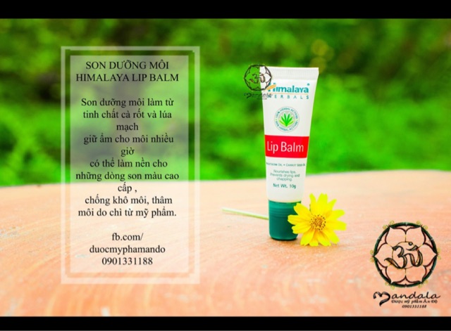 Dưỡng môi himalaya lipbalm Lip Balm 10g