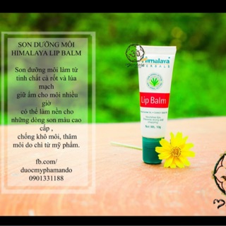 Dưỡng môi himalaya lipbalm Lip Balm 10g