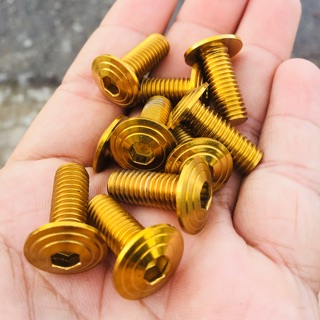 bộ 4 con ốc đĩa thailan vàng