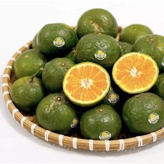 ( Q11 ) 1kg cam vĩnh long  mọng nước (5-7 trái)