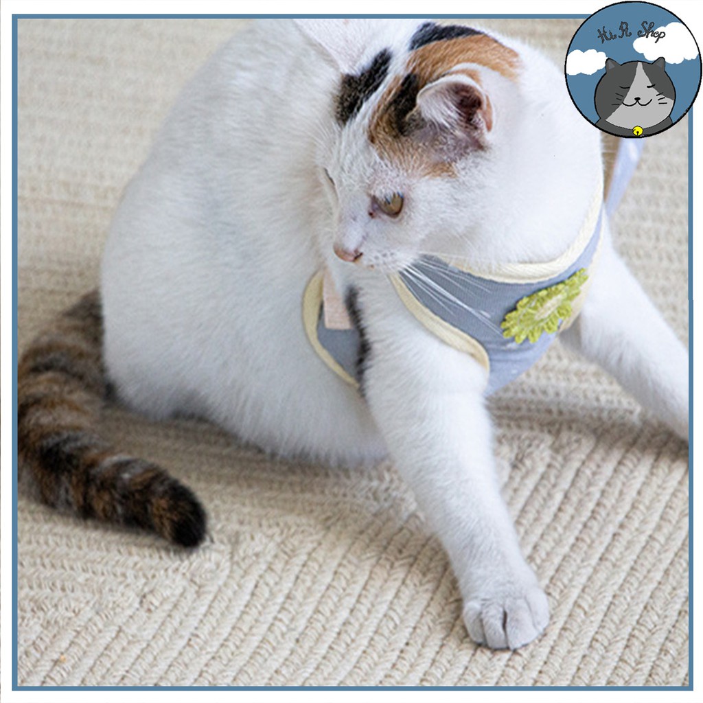 [Rẻ Vô Địch] Dây Dắt Chó Mèo Yếm Ngực Hàn Quốc Nơ Hình Hoa  Retro Dây Dẫn Cho Thú Cưng Chất Liệu Cotton Khoá Kim Loại