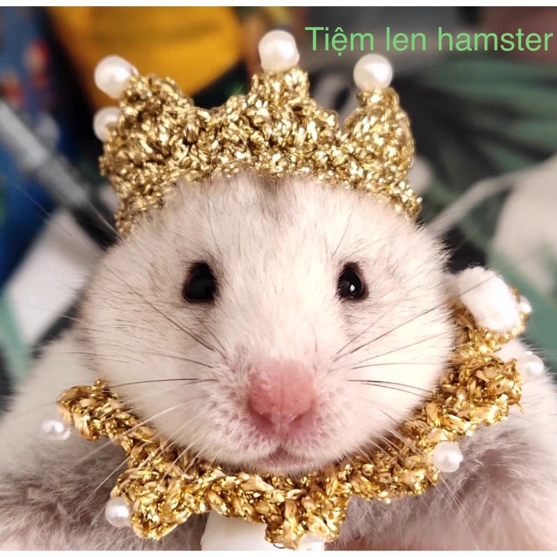 Vương miện cho hamster