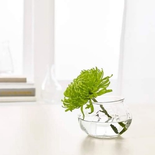 Lọ hoa xinh nhà IKEA