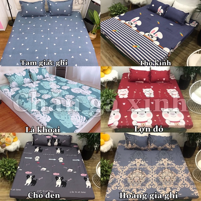 Vỏ gối đầu cotton poly nhiều mẫu nghộ nghĩnh | WebRaoVat - webraovat.net.vn