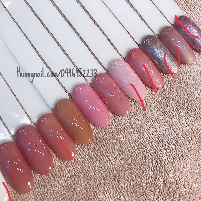 Combo 12c sơn thạch