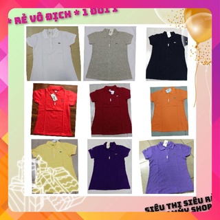 ❤ Áo thun nữ cá sấu thun 4 chiều (hình thật 100%)
