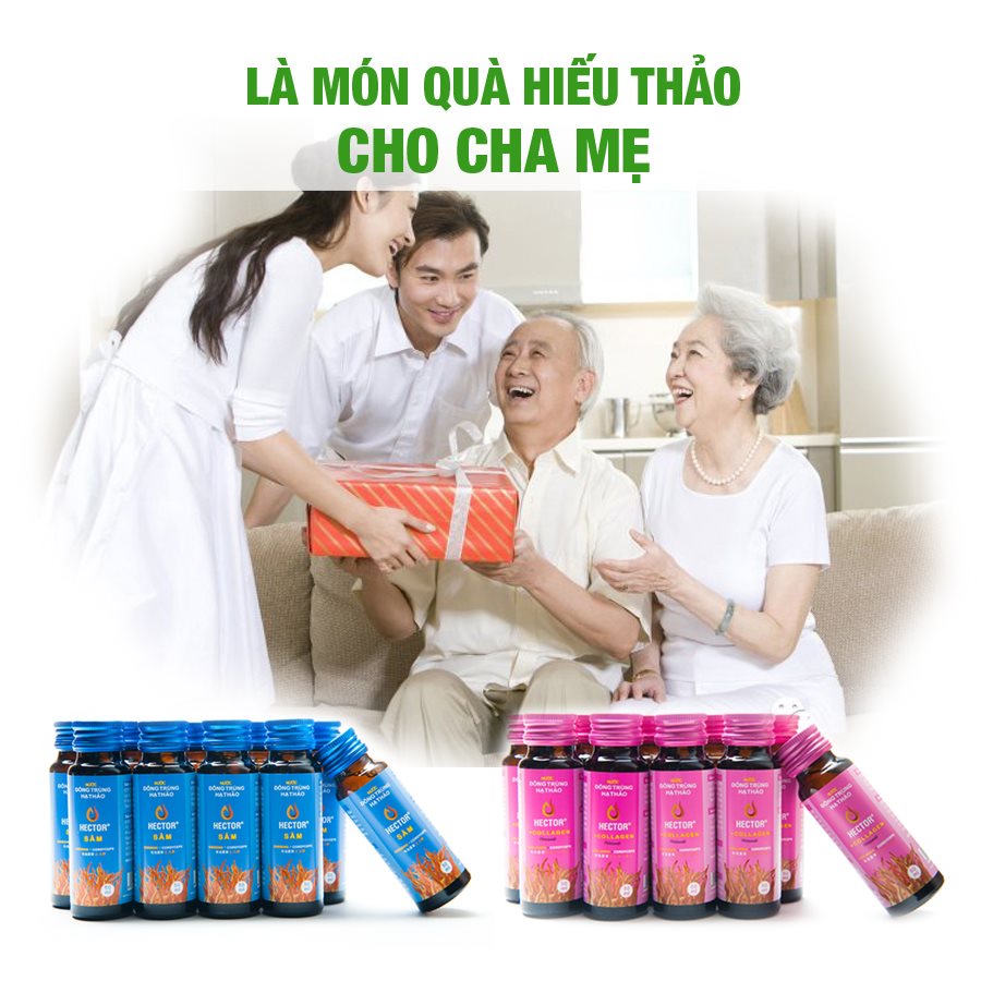 Nước đông trùng hạ thảo Hector Sâm (Hộp 10 lọ)