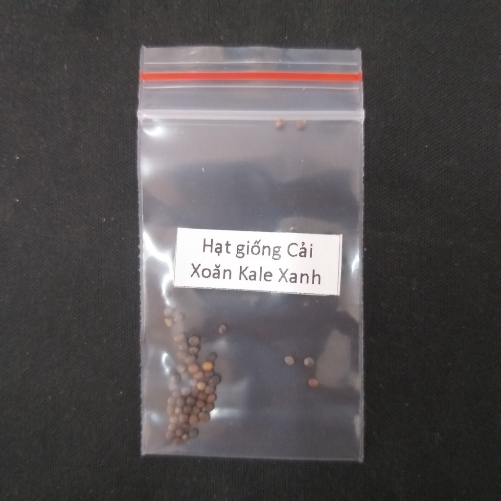Hạt giống Cải Xoăn Kale xanh  Mua SL8 để nhận gói nguyên zin 2g hơn 800 hạt | VTNN Cần Thơ
