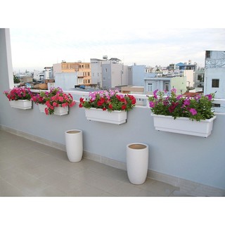 Combo: chậu cây thông minh, an toàn hình chữ nhật,màu trắng & giá treo ban công