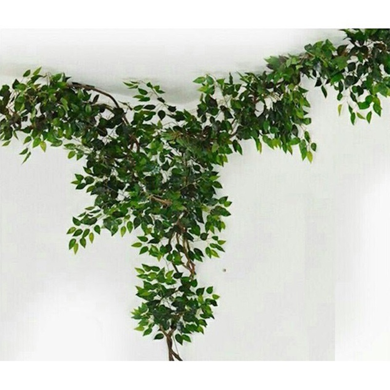 Lá giả - Cành lá si giả làm cây xanh cổ thụ trang trí nhà cửa quán cà phê rất đẹp