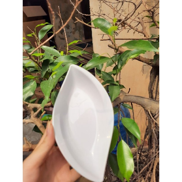Đĩa Nhựa Hình Chiếc Lá, Dĩa Đựng Đồ Ăn Vặt Song Long 2754, 2753 - Duonghieu6789