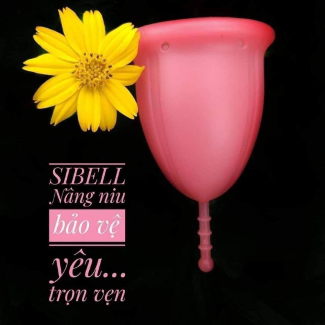 MÁY ÉP CHẬM SNAPBEE, Cửa hàng trực tuyến | BigBuy360 - bigbuy360.vn