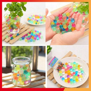 Hạt Tinh Thể Trồng Cây Cảnh CX