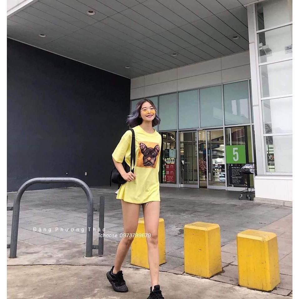 tax lô 10 áo phông quảng châu _ from giấu quần