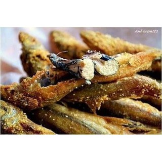CÁ TRỨNG NAUY 500g