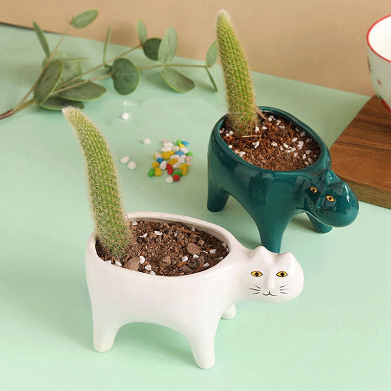 Chậu Cây Bằng Gốm Hình Mèo / Xương Rồng Dễ Thương Để Bàn Trang Trí