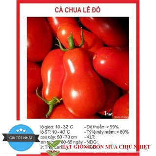 Hạt Giống Cà Chua Quả Lê Đỏ - 20 hạt ĐẾN MÙA TRỒNG TẾT