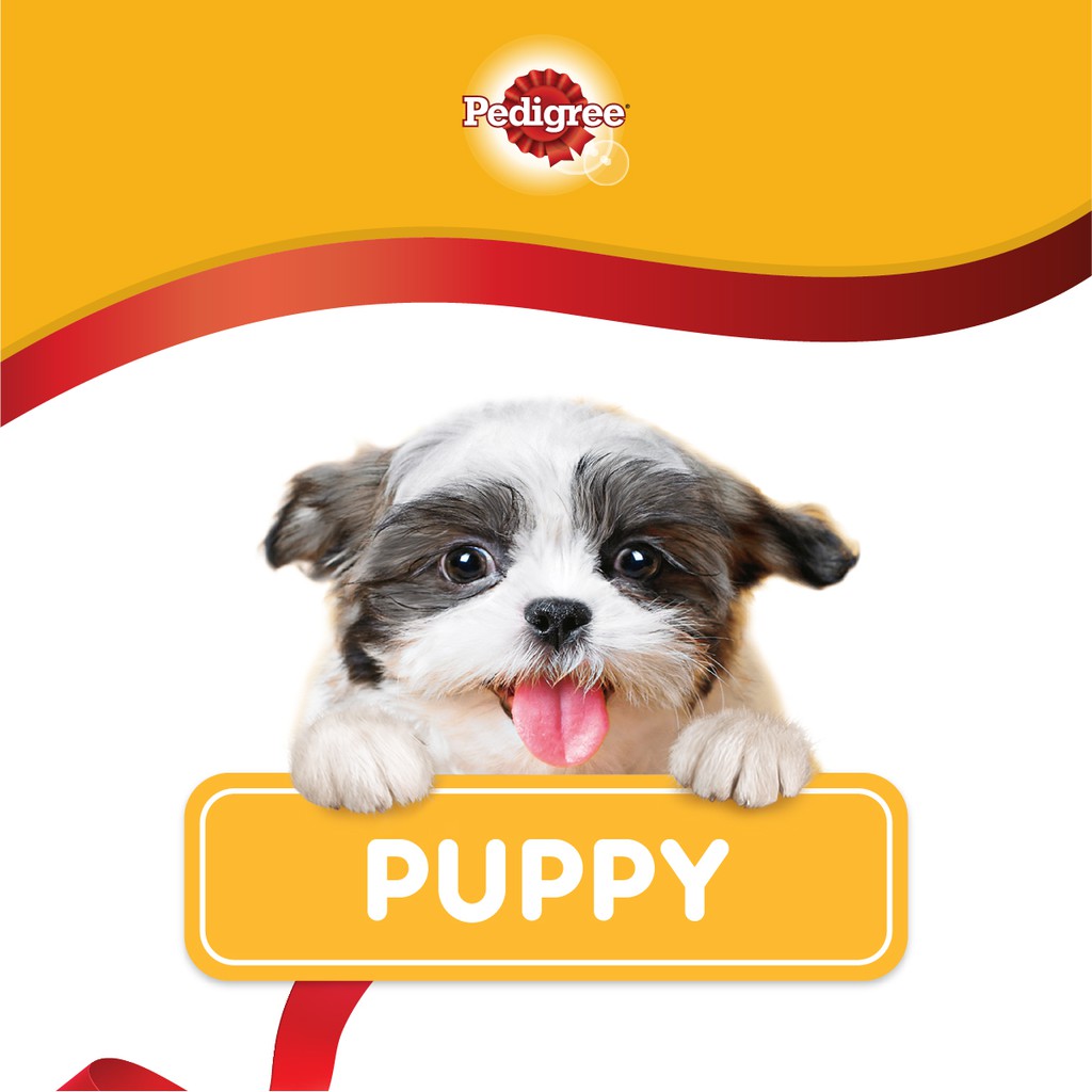 Thức ăn chó con Pedigree vị gà & trứng túi 1.3kg