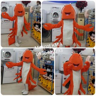 Quần áo hoá trang Mascot Tôm hùm - sinh nhật, sự kiện