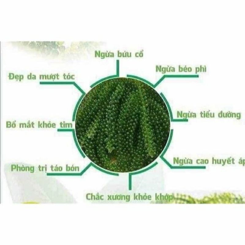 (Rẻ vô địch)1kg rong nho tách nước (gồm 10 gói) nở đc gần 3kg rong tươi ❤nở siêu to, freeship❤