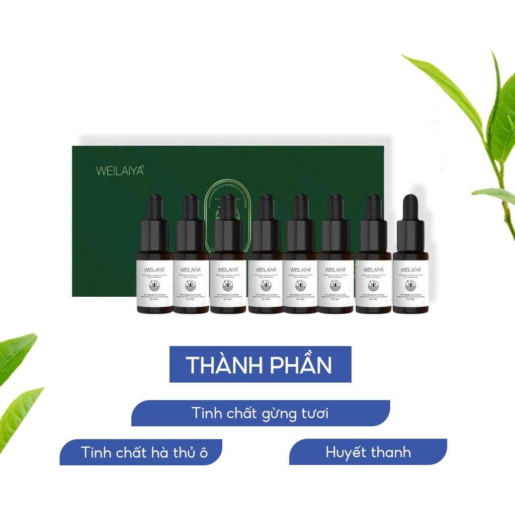 Huyết thanh WEILAIYA GINGER HAIR ROOT NOURISHING ESSENCE chống rụng kích mọc tóc set 8 lọ x 5ml