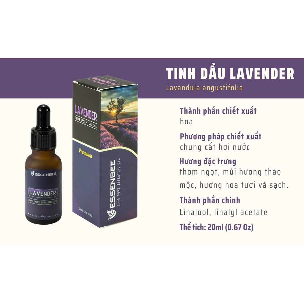 Tinh dầu Lavender - Essenbee (20ml)