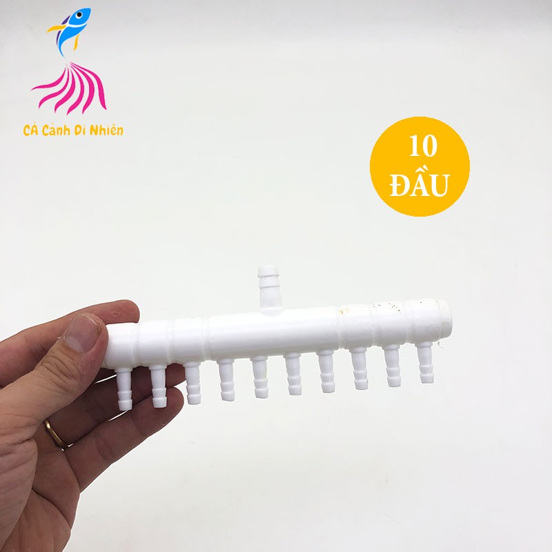 Ống chia dây sủi khí Oxy 10 đầu cho hồ cá cảnh