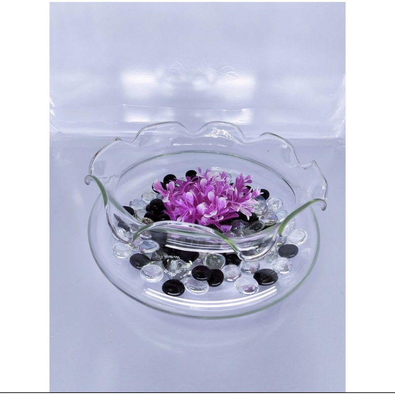 Chậu Thuỷ Tinh Tròn Nuôi Cá Miệng Bèo