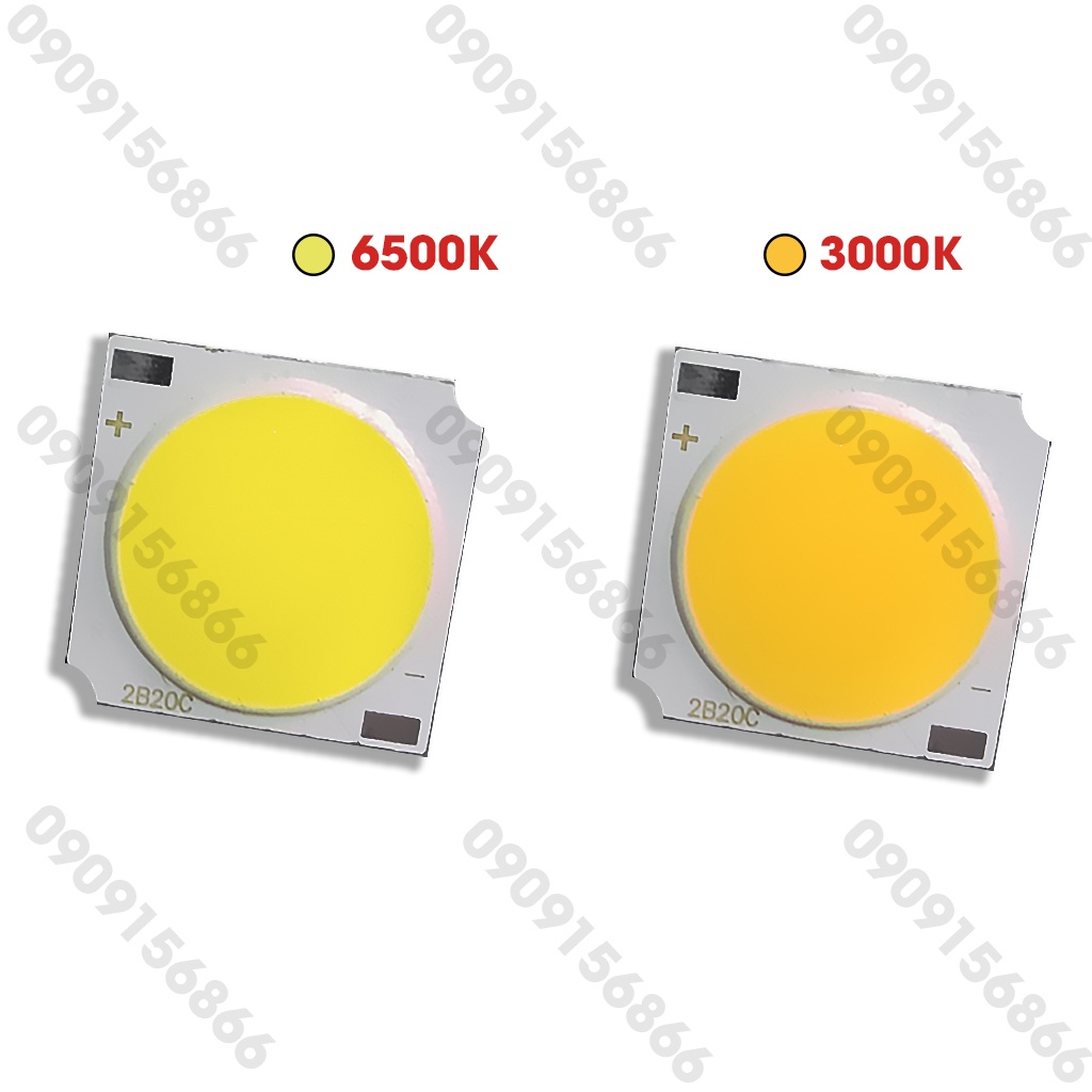 Mắt led Cob 20W