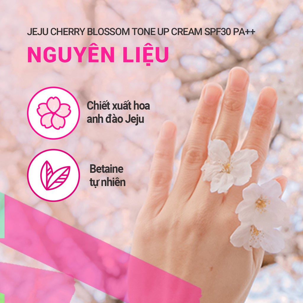 Kem nâng tông chống nắng innisfree Jeju Cherry Blossom Tone up Cream SPF30 PA++ 50ml