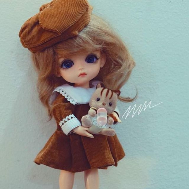 Set gấu c lý
