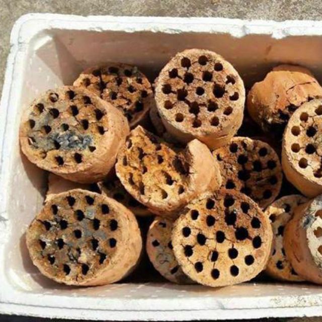 THAN TỔ ONG SẠCH SIÊU LỌC NƯỚC