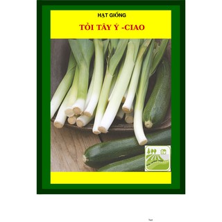 2 Gram - Hạt Giống Tỏi Tây Ý