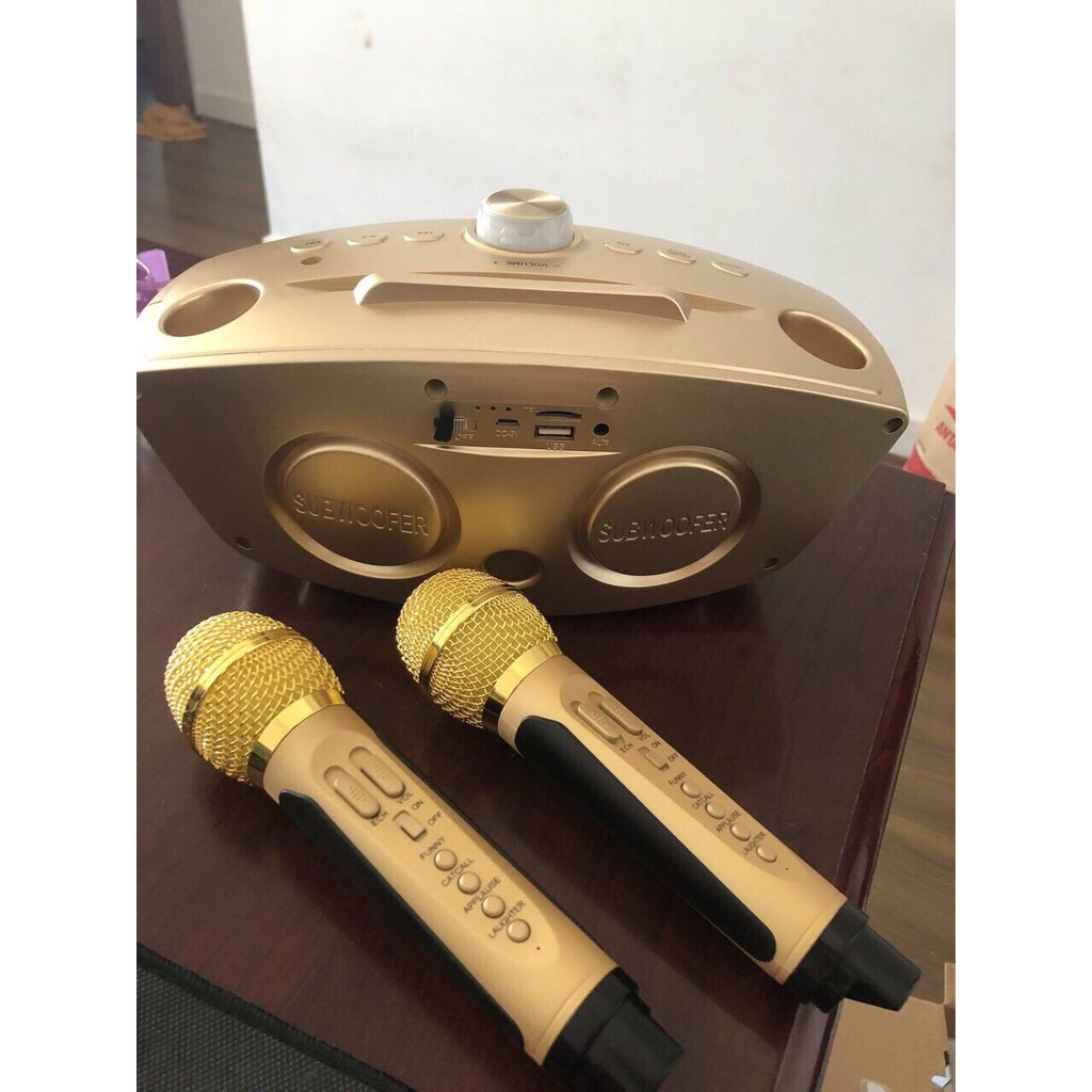 Loa Bluetooth karaoke kèm 2 míc SDRD-306/SDRD-306 Plus
