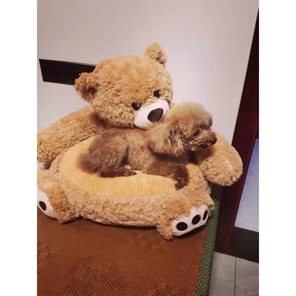 [Giặt được máy giặt] Ổ đệm nằm cho thú cưng mẫu gấu Teddy siêu cưng