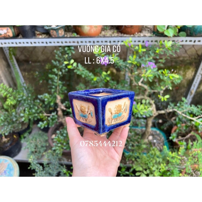 Sỉ 10 chậu vuông gốm Đồng Nai kt 6x4.5cm