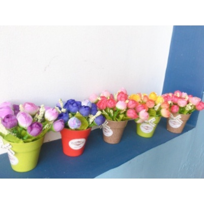 Chậu hoa nụ nhí để bàn tươi tắn xinh xắn mẫu hoa búp nụ