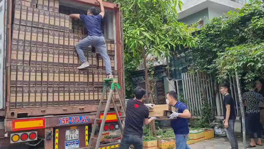 [GIẢM GIÁ] Màn hình lỗi LCD Gloway 17|19|20|22 inch (dùng làm máy kĩ thuật,xem camera,lướt online)- Bảo hành 1 tháng !! | BigBuy360 - bigbuy360.vn