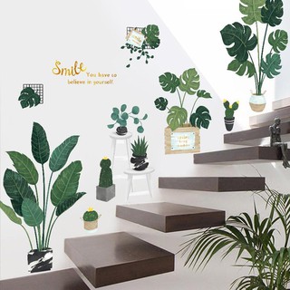 Decal dán tường chậu cây xanh siêu to nhất
