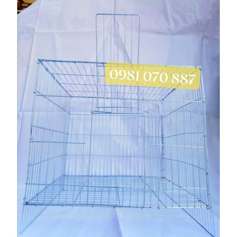 Lồng mèo, chim, thú cưng