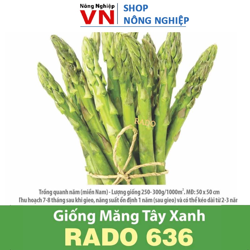Hạt Giống Măng Tây Xanh Dễ Trồng, Thu Hoạch Quanh Năm RADO 636 gói 0.5gram
