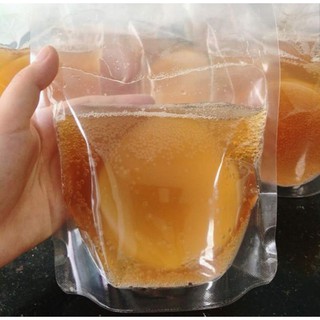 CON MEN SCOBY TRÀ DƯỠNG SINH KOMBUCHA
