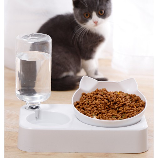 Bát ăn cho chó mèo tự động, bát ăn đôi cấp nước tự động cho thú cưng chó mèo